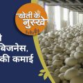 mushroom farming