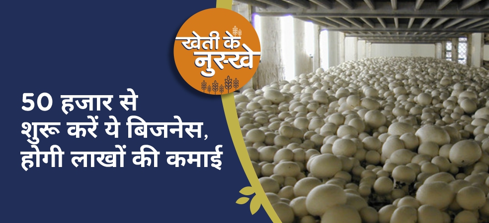 mushroom farming