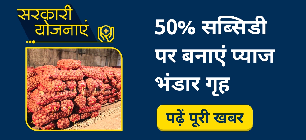 Government will give 50% subsidy for onion warehouse