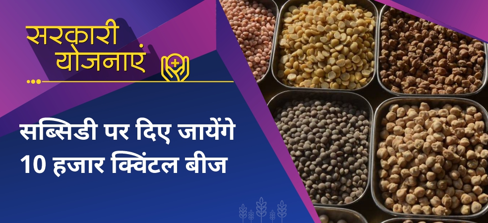 Farmers will get 10 thousand quintal seeds of Rabi crops on subsidy