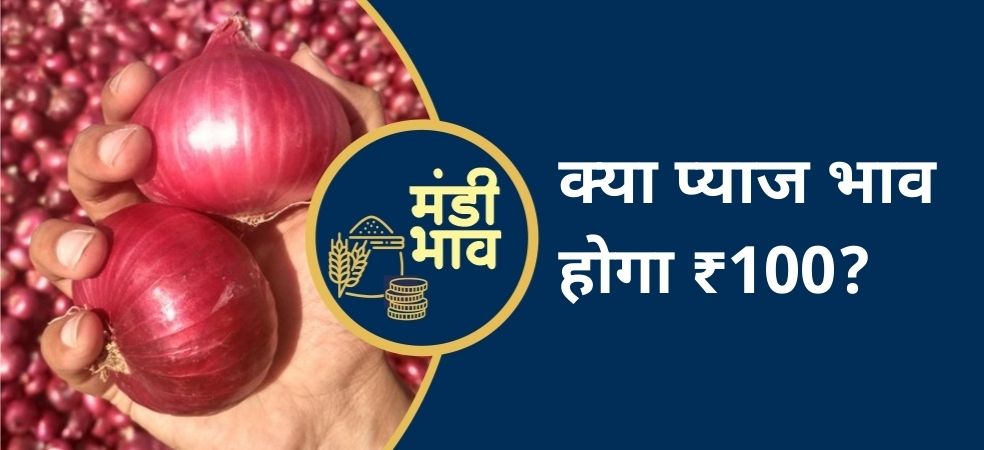 Will onion price cross Rs 100 mark