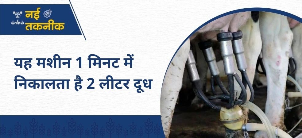 Take milking machine on subsidy extract 2 liters of milk per minute