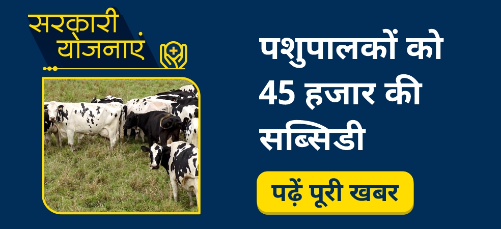 45 thousand subsidies will be available for the purchase of cow-buffalo and poultry farm