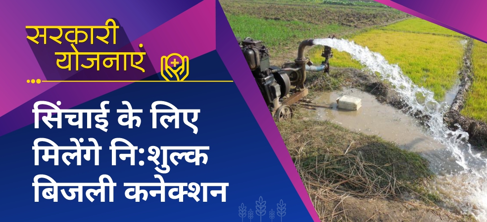 Free electricity connection will be available for irrigation in Madhya Pradesh