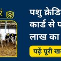 Get Pashu Kisan Credit Card and get 3 lakh loan