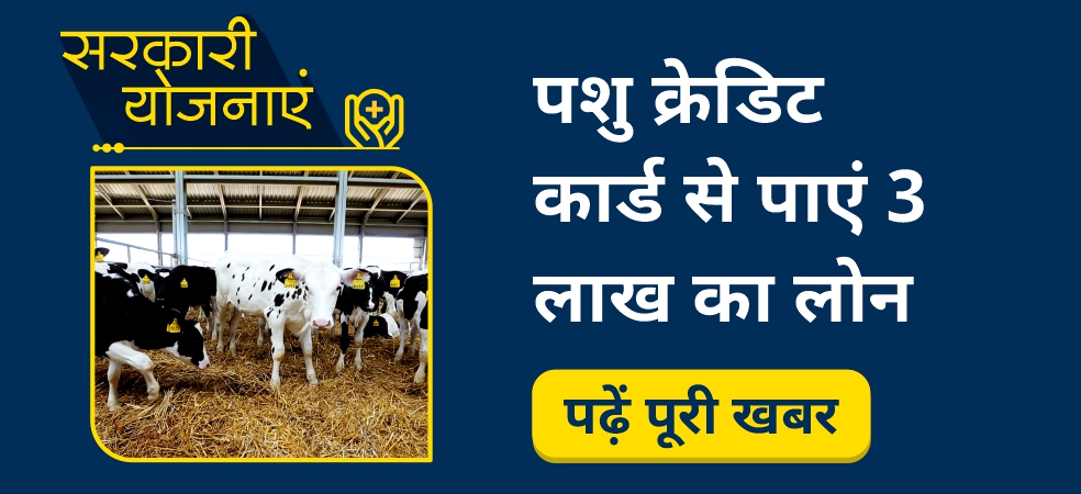 Get Pashu Kisan Credit Card and get 3 lakh loan