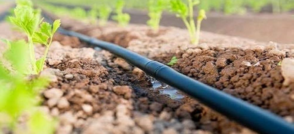 Drip irrigation