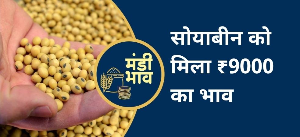 Soyabean got a price of Rs 9000 in Madhya Pradesh