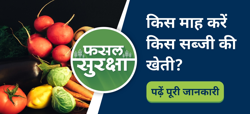 Which vegetable cultivation will give good profit in which month?