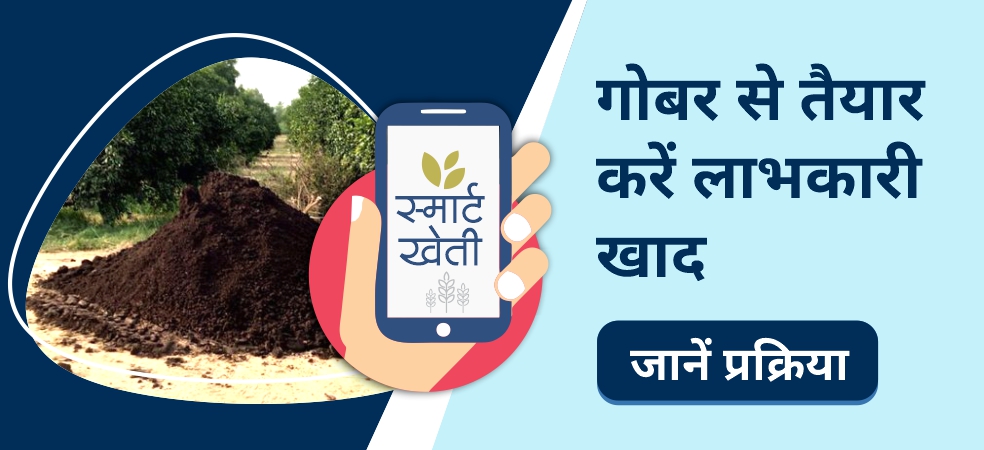 How to use decomposer for old stored cow dung