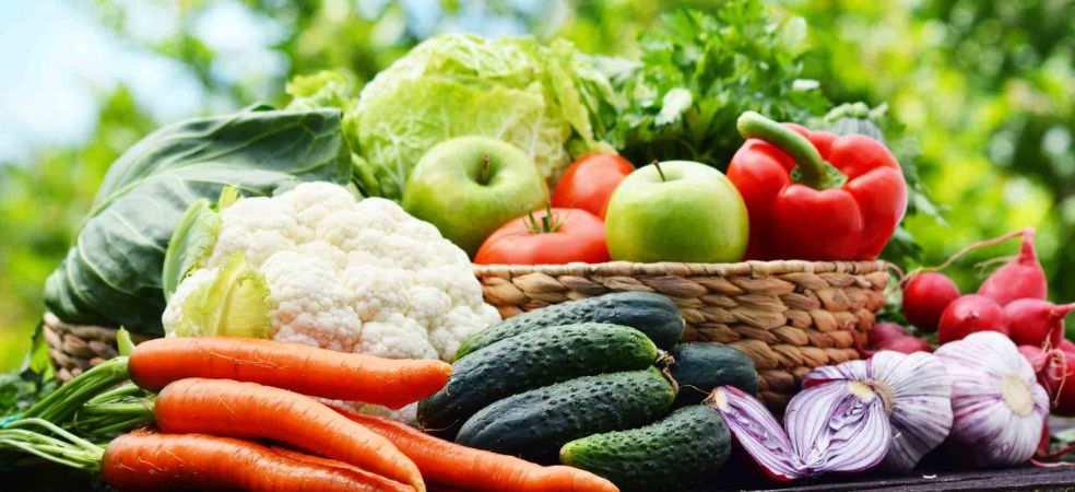 Which vegetable cultivation will give good profit in which month