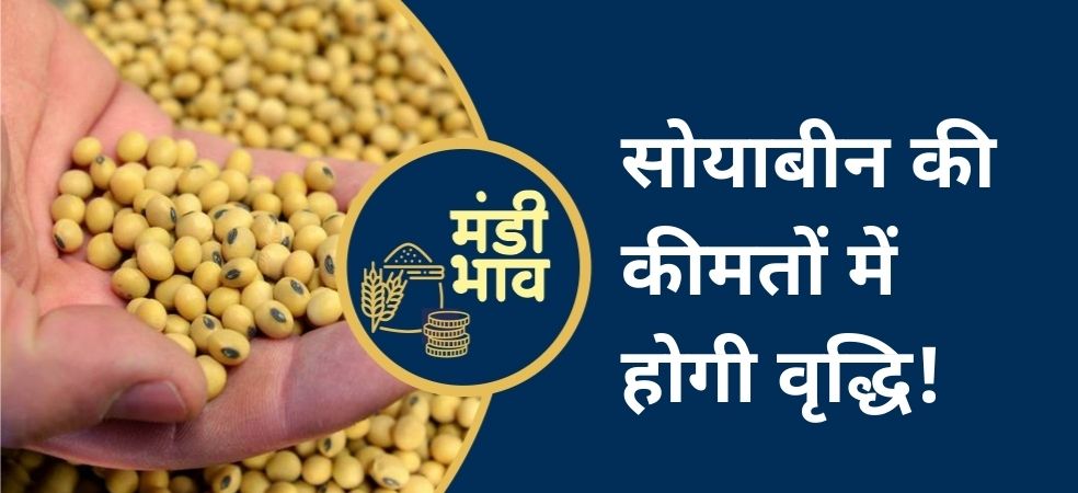 Soybean prices increasing continuously