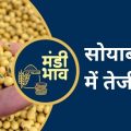 Ratlam soybean and gram rates Ratlam soybean and gram rates