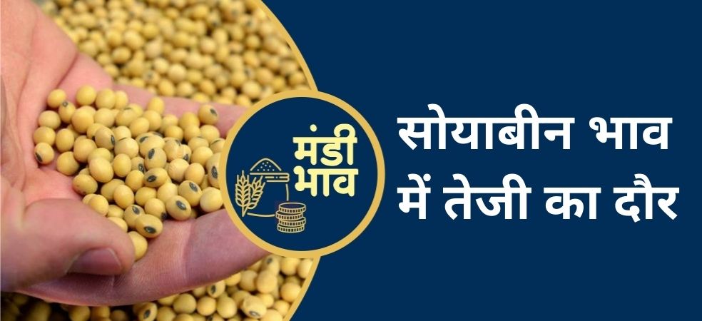 Ratlam soybean and gram rates Ratlam soybean and gram rates