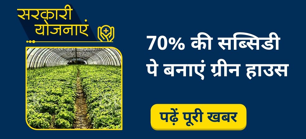 Bumper subsidy of 70% to farmers on a greenhouse