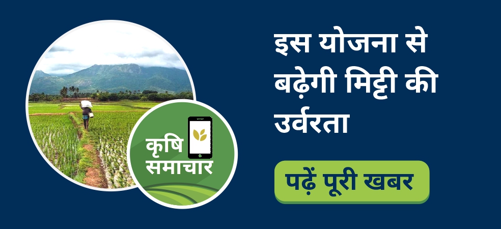 A gift to the farmers of MP this method will give bumper yield