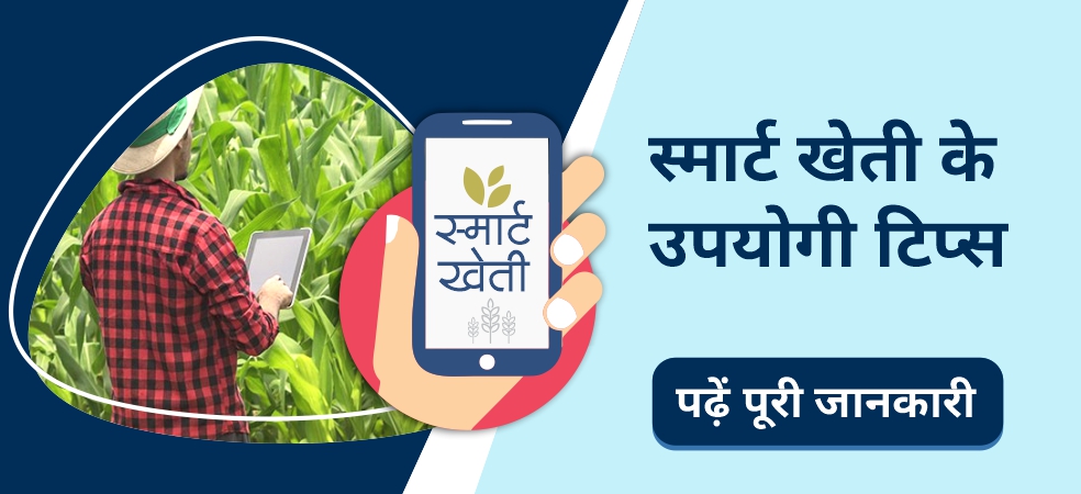 Must follow these useful tips of smart farming