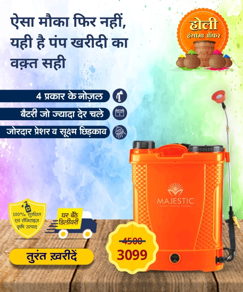 Majestic Pump Holi Dhamaka Offer