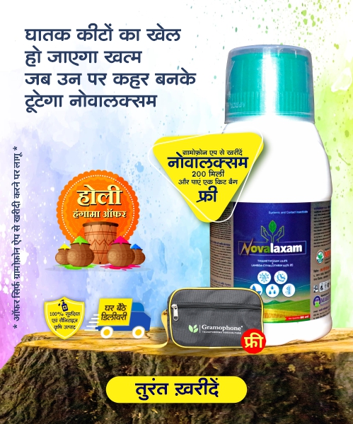 Novalaxam Holi Dhamaka Offer