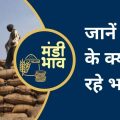 Ratlam Mandi wheat Rate