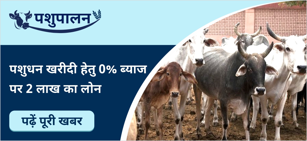 2 lakh loan will be available for the purchase of Livestock