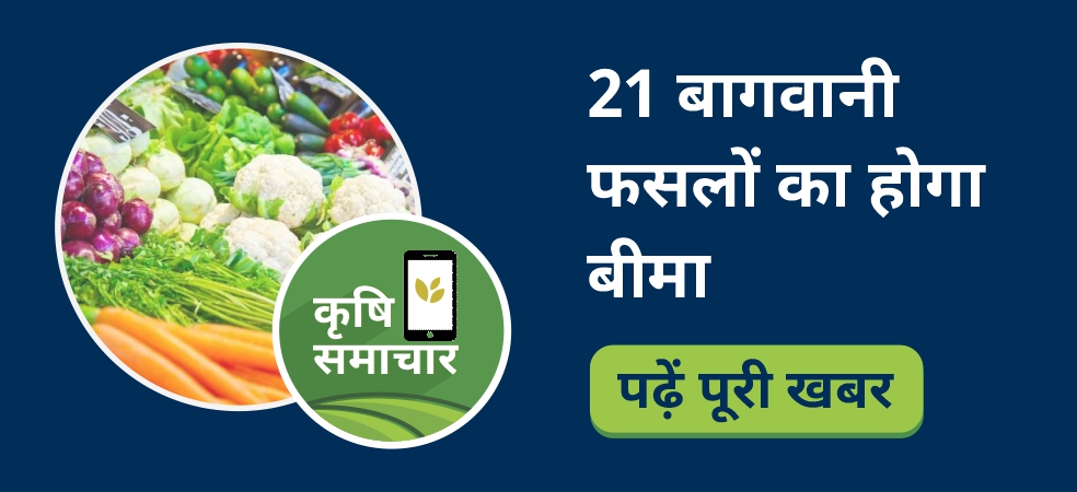 Mukhyamantri Horticulture Insurance Scheme