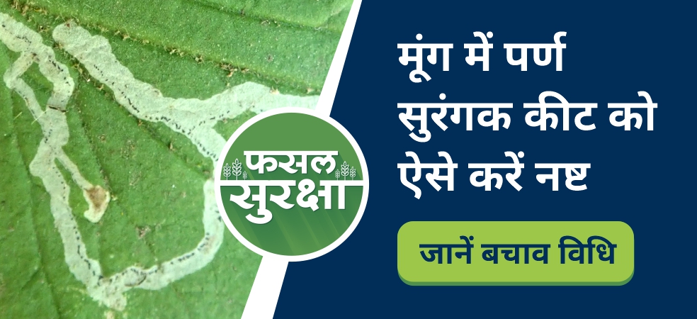 Control of leaf miner in moong crop