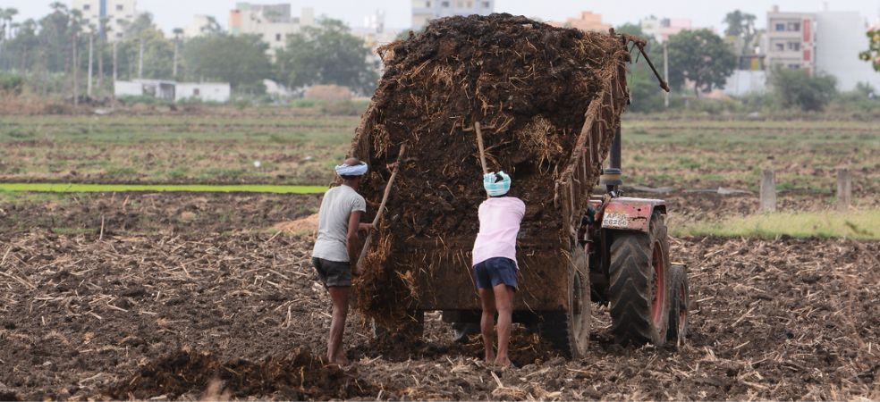 Do these agricultural work in empty fields in summer