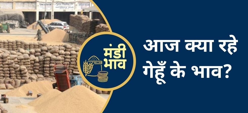 Ratlam Mandi wheat Rate