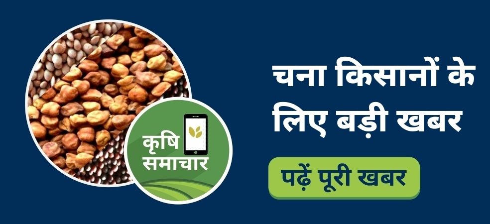 Madhya Pradesh Gram Procurement on MSP