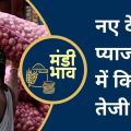 Ratlam Mandi's New Desi Onion Rates