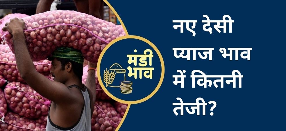 Ratlam Mandi's New Desi Onion Rates