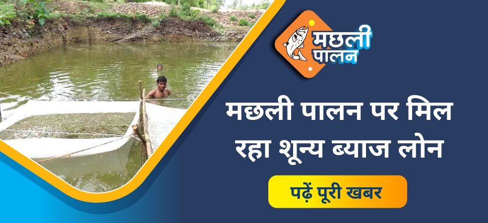 6 lakh rupees will be available for fish farming