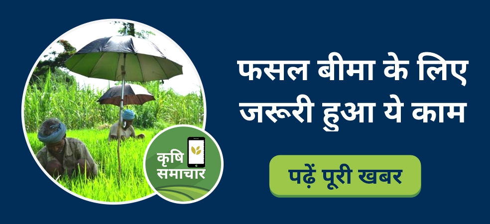 crop insurance scheme