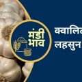 garlic mandi rate