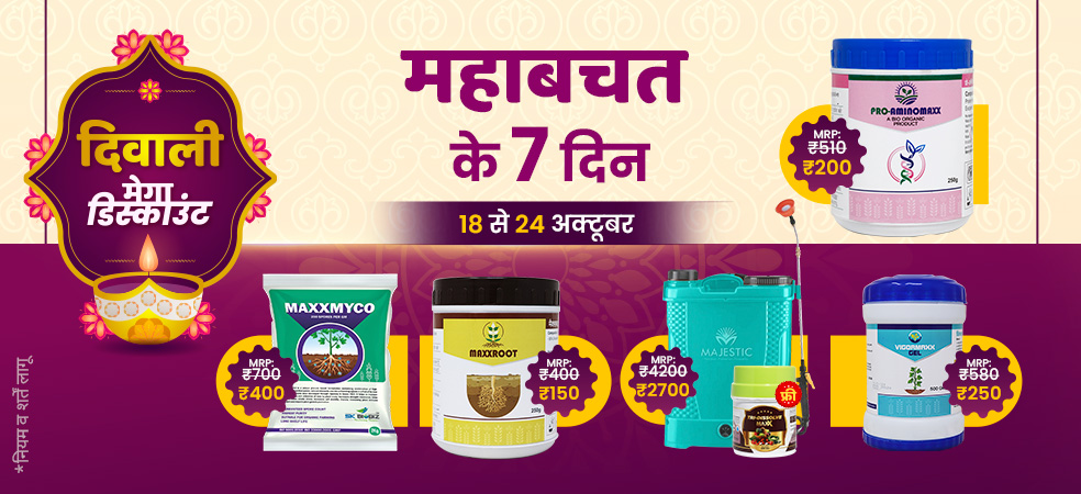 Diwali mega discount