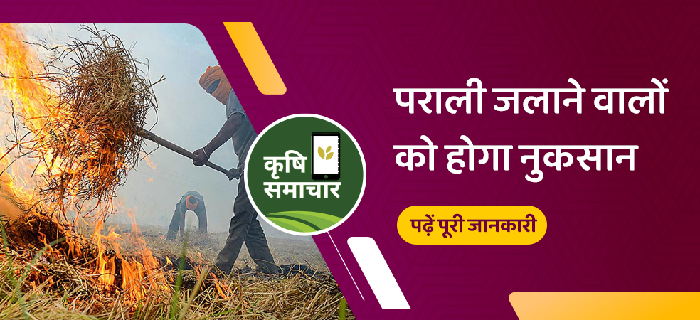 If you burn the stubble you will not get the money of PM Kisan Yojana