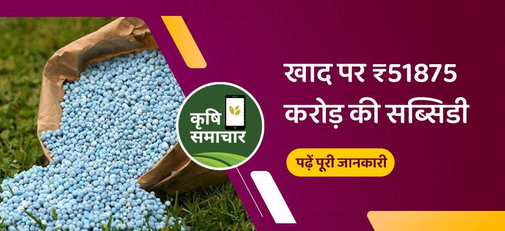 Now fertilizer will be available cheap government will give subsidy of 51875 crores