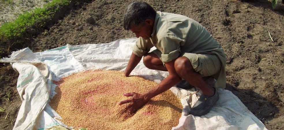 seed treatment in wheat