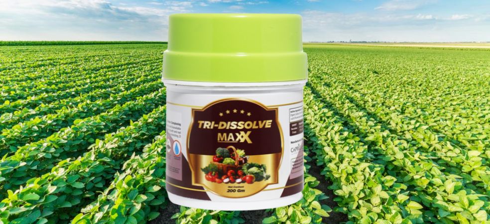 Using Tri Dissolve Maxx in your crop will give tremendous effect