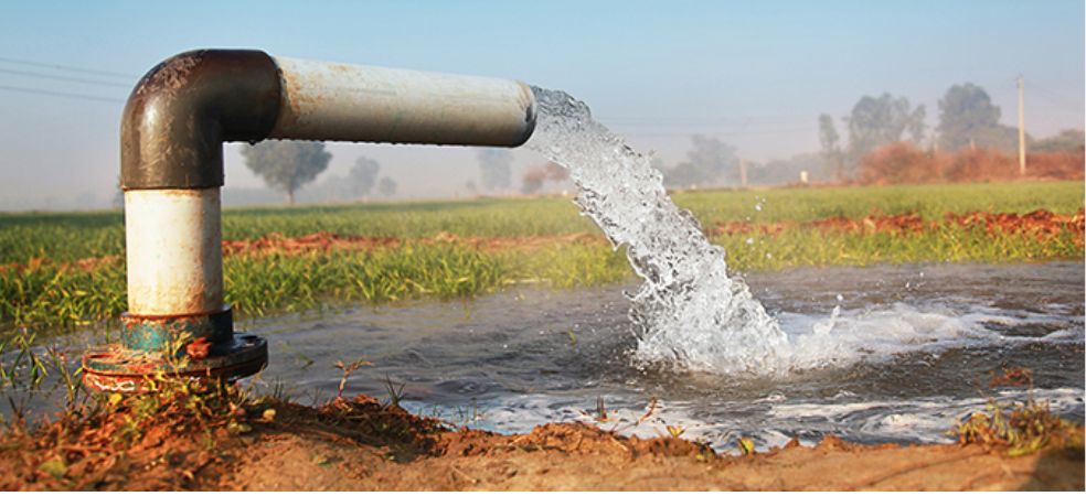 Irrigate in different stages for bumper yield of wheat!