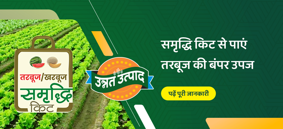 Benefits of Samriddhi Kit in Watermelon Crop