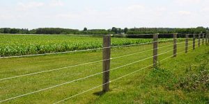 Get fencing done in the fields on 50% grant