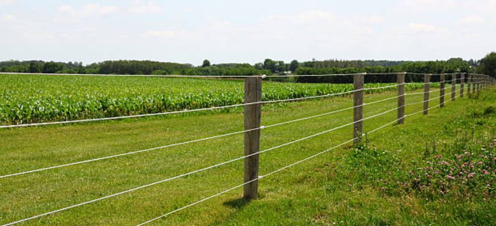 Get fencing done in the fields on 50% grant