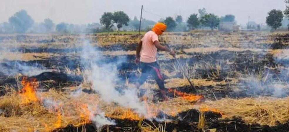 Disadvantages of burning crop residue after harvesting