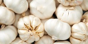 garlic mandi rate,