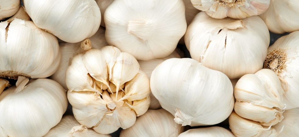 garlic mandi rate,