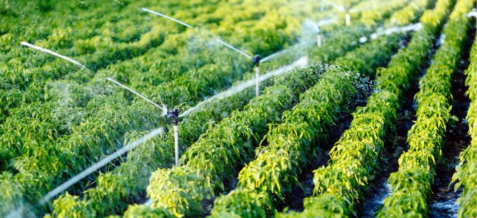 micro irrigation systems