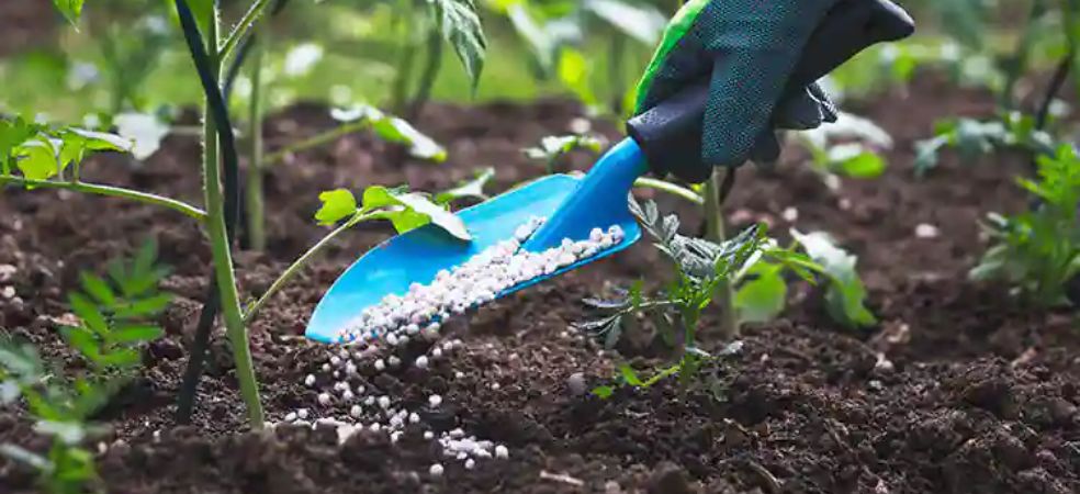 90% subsidy will be given on various organic pesticides