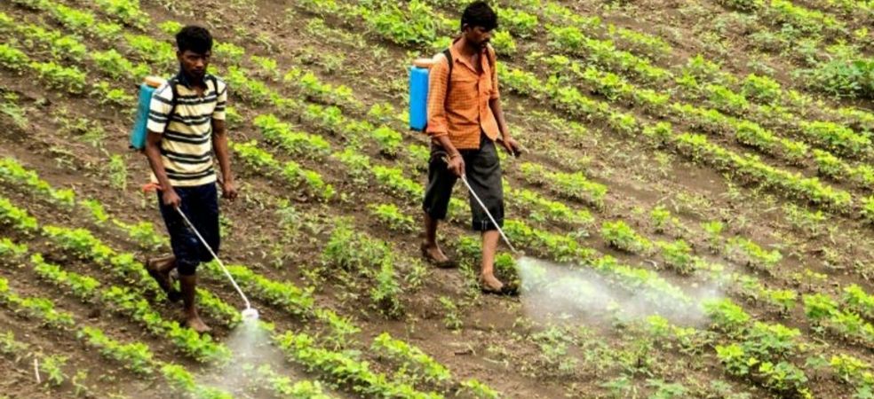 Weed management in summer moong